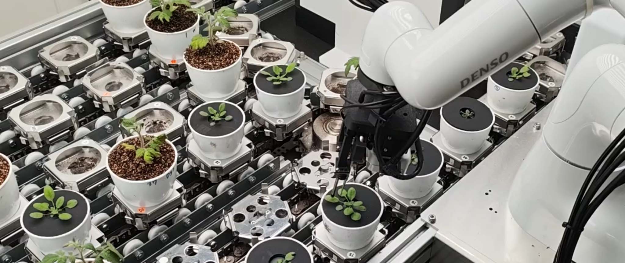 Robots and manipulation systems developed in the lab